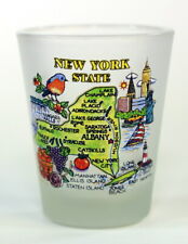 NEW YORK MAP FROSTED SHOT GLASS SHOTGLASS picture