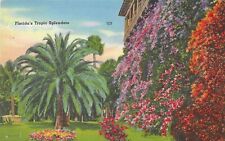 Vintage Florida Linen Postcard Florida's Tropic Splendors Palms Flowers picture