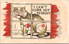 C.1905 Comic Crying Cat Kitten I CANT COME OUT TONIGHT Humor Postcard 824 picture