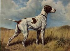 Pointer - CUSTOM MATTED - Dog Art Print - Megargee picture