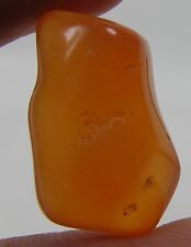 #6 11.55ct Botswana 100% Natural Carnelian Agate Tumbled Rough Crystal 2.3g 19mm picture