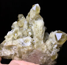 825g Tibet Himalayan rare Elestial citrine QUARTZ Crystal Point cluster #140 picture