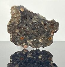 NWA 8036 (7.222g) Meteorite End Cut, Eucrite-pmict, IMCA #s 6236 & 7294 Sellers picture