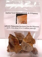 Petrified Texas Palmwood - Authentic scarce fossils for Rock Tumbling,Jewelry,&c picture