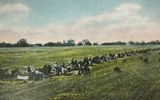 A Kansas Wheat Field Postcard People Workers Equipment Field Hands picture