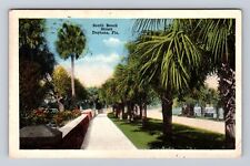 Daytona FL-Florida, Palm Lined South Beach Street, Vintage c1918 Postcard picture