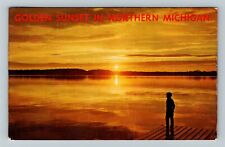 MI-Michigan, Golden Sunset In Northern Michigan, Vintage Postcard picture
