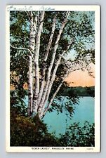 Rangeley ME- Maine, Scenic View Of Lake Area, Antique, Vintage Souvenir Postcard picture
