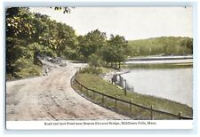 Spot Pond Road Middlesex Fells MA Massachusetts Postcard (EM18) picture