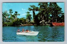 New Orleans LA-Louisiana, Boating Among Moss Hung Cypress, Vintage Postcard picture