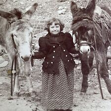 Antique 1894 Child With Two Donkeys In Desert Stereoview Photo Card PC794 picture