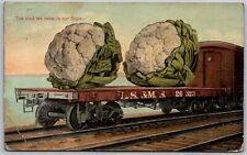 Giant Exaggerated Cauliflower On Train Car c1910 Postcard The Kind We Raise picture