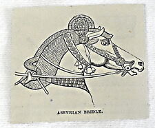 1878 small magazine engraving ~ ASSYRIAN BRIDLE, horse head with ornate reins picture