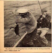 1947 Magazine Photo Men Fishing Catch Albacore Tuna in Boat picture
