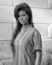 Claudia Cardinale gorgeous 1960's portrait in striped shirt 24x36 inch Poster picture