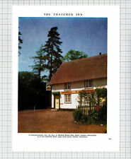 (4082) The Fox Inn Hatfield Broad Oak Essex Thatched Roof  - 1965 Clip picture