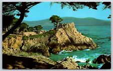 Postcard Midway Point, Overlooking Crescent-Shaped Carmel Bay, Cypress Trees, CA picture
