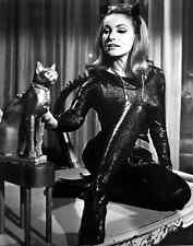 Julie Newmar is Catwoman in Batman Series Poster Picture Photo 8x10 picture