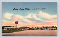 c1954 Ridge Plaza Motel Haines City Florida FL Roadside America Postcard picture