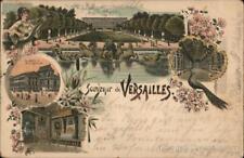 France 1900 Souvenir of Versailles (Gruss Aus Style) Postcard 10c stamp Vintage picture