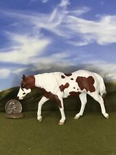 OOAK Breyer cm Custom Stablemate Cassidy TSC X D Williams*Pretty Pinto* picture