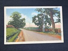 Postcard Beautiful Dirt Country Road Scene Trees Fence 33 Curteich  Chicago R33 picture