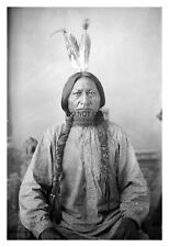 SITTING BULL NATIVE AMERICAN CHIEF 1883 OLD WEST 4X6 PHOTO REPRINT picture