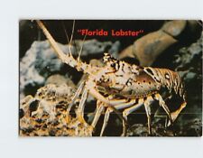 Postcard Florida Lobster picture