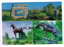 KENTUCKY HORSE PARK COLLAGE, MAN O WAR, SGT RECKLESS,NEW ENTRANCE POSTCARD picture