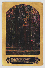 J. Wolfgang Von Goethe Poem Posted 1910 Kirksville, MO Postcard Dived Back picture