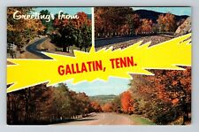 Gallatin TN-Tennessee, Scenic Autumn Trees, Greetings, Vintage Postcard picture