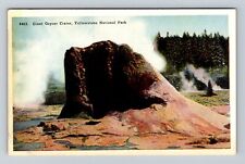 Yellowstone National Park, Giant Geyser Crater, Series #4403 Vintage Postcard picture