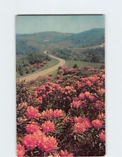 Postcard Rhododendron In Bloom picture