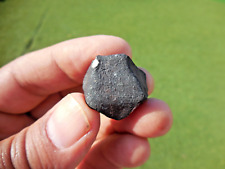 12.0 gram - OUED SFAYAT (H5 Chondrite) Meteorite - witnessed fall in 2019 picture