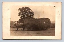 RPPC Harry and Horse & Mule Wagon Load of Hay Harvest Missouri Postcard c1915 picture