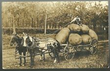 South Dakota RPPC 1908 Exaggeration Horses Pull Wagon of Very Large Potatoes picture