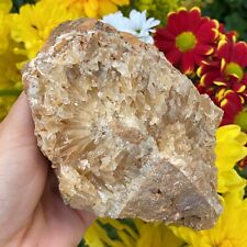Natural Portuguese Raw Honey Calcite Crystal Gemstones Geode Specimen Shop UK  picture