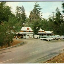 c1960s Camp Angelus CA Glen Lodge Hwy 38 76 Service Gas Station Sign Chrome A216 picture