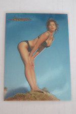 1996 AVENGELYNE TRADING CARD SET E2 CATHY CHRISTIAN FOIL EMBOSSED CHASE RARE picture