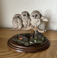 VINTAGE - COUNTRY ARTISTS  - BABY OWLETS  - CA356 picture