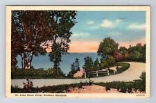 MI-Michigan, Lake Shore Drive, Antique, Vintage c1950 Postcard picture