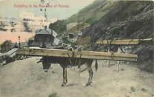 Postcard 1913 Arizona Freighting in the mountains mule mining Berryhill AZ24-941 picture