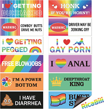 12Pcs Funny Gay LGBT Prank Bumper Stickers Magnetic Bumper Decals Funny Car Stic picture
