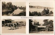 1936 RPPC Ellsworth,Mich.,MI Antrim County Michigan Real Photo Post Card Vintage picture