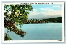 c1930's Looking West Over Paradox Lake Near Schroon Lake NY Vintage Postcard picture