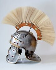 16GA Steel & Brass Medieval Roman Imperial Gallic D Helmet With Horse Hair Plume picture