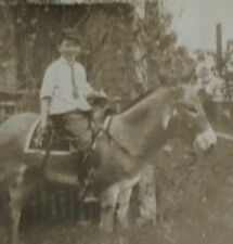 Antique RPPC Postcard Ephemera Early 1900s  Shoppe Black White Young Boy Donkey picture