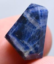 14.25 CT Full Terminated Natural Bi Color SAPPHIRE Crystal From Afghanistan picture