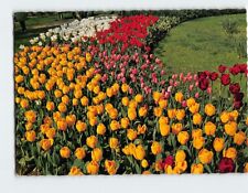Postcard Holland in Flowerdecoration, Netherlands picture