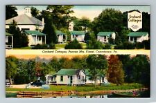 Canadensis PA-Pennsylvania, Orchard Cottages, Antique  Vintage Souvenir Postcard picture